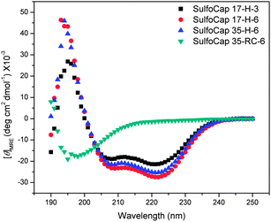 
            Circular dichroic spectra of the sulfated glycopolypeptides in PBS buffer (pH 7.4) at 5 °C.