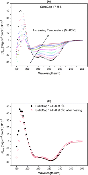 Full wavelength CD spectra of SulfoCap 17-H-6 in PBS buffer (pH = 7.4) with increasing temperature from 5 to 80 °C (A) and the spectra of SulfoCap 17-H-6 in PBS buffer (pH = 7.4) at 5 °C before and after heating (B).