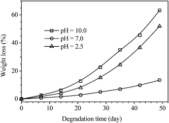 Weight losses of poly(α-angelica lactone) by degradation in solution of different pH values.