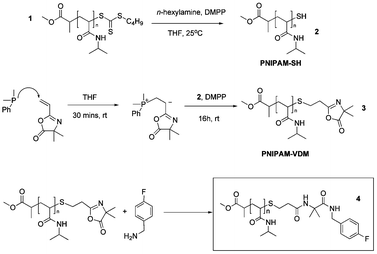Full schematic for the synthesis of oxazolone end-functional PNIPAM and their reactivity towards 4-fluorobenzylamine.