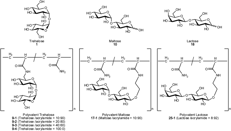 Chemical structures of compounds used in this research.