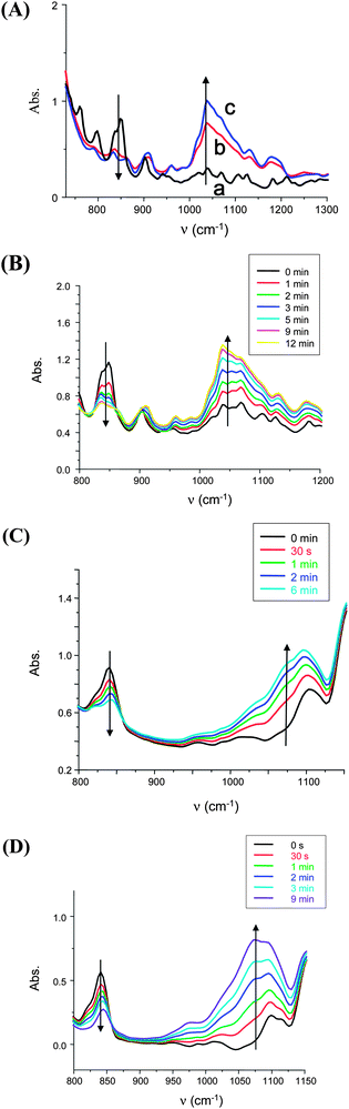 
            IR spectra recorded during the photopolymerization reaction of various monomers (film thickness: ∼25 µm) under sunlight irradiation. Estimated light intensity: <5 mW cm−2 in the range 390–800 nm; experiments in Mulhouse-France. (A) Limonene dioxide (LDO) in the presence of the ITX/Ph2I+ (1%/1%, w/w) at (a) t = 0; (b) t = 10 min without TTMSS and (c) at t = 10 min upon addition of TTMSS (3%, w/w); the bands at about 840 and 1050 cm−1 are associated to the epoxy and ethergroup, respectively. (B) Limonene dioxide in the presence of the BAPO/TTMSS/Ph2I+ (1%/3%/2%, w/w) at t = 0 to 12 min. (C) Epoxidized soybean oil (ESO) in the presence of the BAPO/TTMSS/Ph2I+ (1%/3%/2%, w/w) at t = 0 to 6 min. (D) Epoxidized linseed oil (ELO) in the presence of the BAPO/TTMSS/Ph2I+ (1%/3%/2%, w/w) at t = 0 to 9 min.