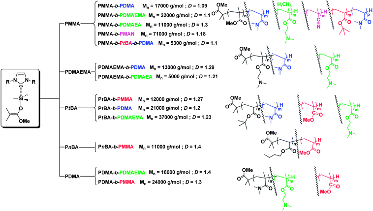
          Block copolymers obtained via sequential group transfer polymerization in THF using NHCs as catalysts and MTS as an initiator.