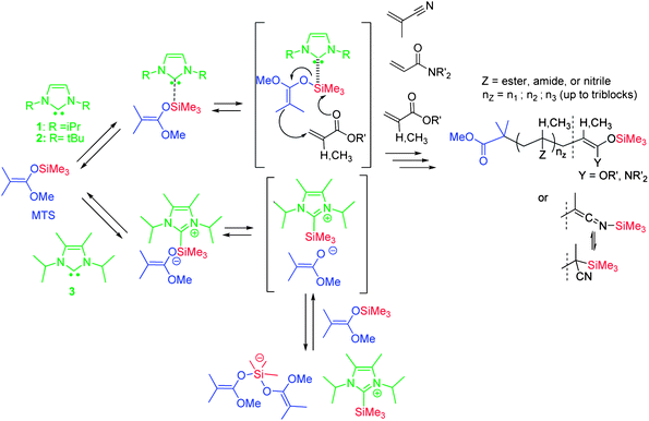Associative (top) versus dissociative (bottom) mechanism of group transfer polymerization catalyzed by N-heterocyclic carbenes.