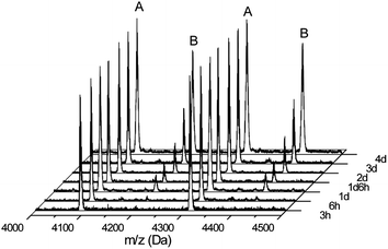 MALDI-ToF-MS spectra of samples taken from the polymerization reaction of BLG NCA at 20 °C under nitrogen at different times after complete monomer conversion. The spectra were normalized using peak A.