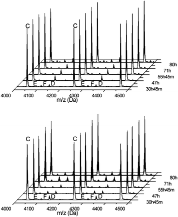 MALDI-ToF-MS spectra of samples taken from the polymerization reaction of BLA NCA at 20 °C and 1 × 10−5 bar (top) and under nitrogen (bottom) at different reaction times. The spectra were normalized using peak C.
