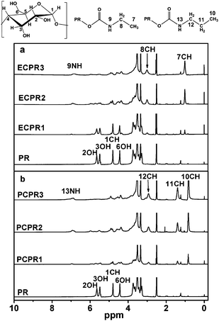 
            1H NMR spectra of (a) ECPR and (b) PCPR in DMSO-d6.