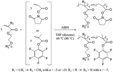 Preparation of poly[(meth)acrylate] copolymers with PEG side chains and active ester repeating units.