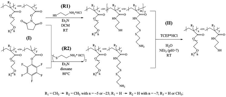 Synthesis route of thiol-functional copolymers using (R1) cysteamine (hydrochloride) or (R2) cystamine dihydrochloride (step I) followed by TCEP·HCl treatment (step II).