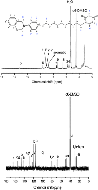 The 1H NMR and 13C NMR spectra of UBz.