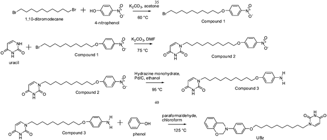 The series of reactions to synthesize UBz.