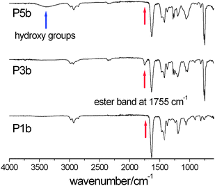 IR-ATR
spectra of P1b, P3b und P5b demonstrating the successful addition of acetyl-protected glucose units (ester band at 1755 cm−1) onto the polymer precursor. The disappearance of the ester band as well as the appearance of a broad band between 3100 cm−1 and 3600 cm−1 confirms the successful deprotection of the sugar moieties.