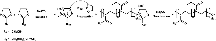 Schematic representation of the mechanism of the cationic ring-opening copolymerization of 2-ethyl-2-oxazoline and 2-(dec-9-enyl)-2-oxazoline.