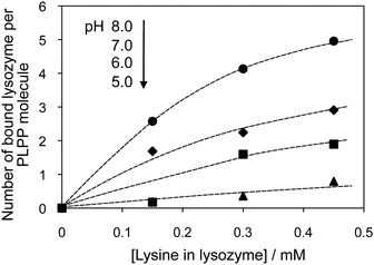 Number of bound lysozyme molecules per PLPP molecule as a function of the concentration of lysine residues in lysozyme at pH 8.0 (closed circle), 7.0 (closed diamond), 6.0 (closed square) and 5.0 (closed triangle), as determined by HPLC. Concentrations in mmol dm−3: [HEPES], 100; [NaCl], 100.