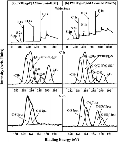 
            XPS wide-scan, C 1s and S 2p core-level spectra of the (a) PVDF-g-P[AMA-comb-HDT] membrane and (b) PVDF-g-P[AMA-comb-DMAPS] membrane.