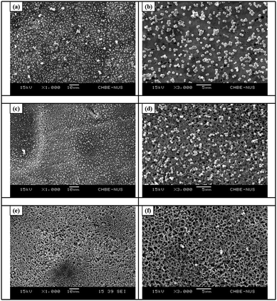 
            SEM images of the (a, b) pristine PVDF membrane, (c, d) PVDF-g-P[AMA-comb-HDT] membrane (from the PVDF-g-PAMA membrane with a ([–AMA–]/[–CH2CF2–])surface ratio of 0.31), and (e, f) PVDF-g-P[AMA-comb-DMAPS] membrane after exposure to PBS suspension of S. epidermidis (initial cell concentration of 108cells per ml) in a flow chamber at a constant flow rate of 1 ml min−1 for 8 h.