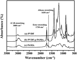 
            FTIR spectra of the (a) PVDF homopolymer, (b) PVDF-g-PAMA copolymer with the ([–AMA–]/[–CH2CF2–])bulk molar ratio of 0.26 and (c) PAMA homopolymer.