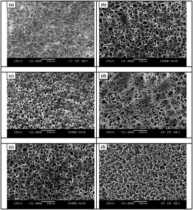 
            SEM micrographs of the microporous membranes cast from the 15 wt% NMP solution of corresponding copolymers by phase inversion: (a) the pristine PVDF membrane; (b) PVDF-g-PAMA membrane with a ([–AMA–]/[–CH2CF2–])surface molar ratio of 0.31; the PVDF-g-P[AMA-comb-MPA] membrane synthesized by surface-initiated thiol–ene click reaction with ([–COOH]/[–CH2CF2–])surface molar ratios of (c) 0.14, (d) 0.22, (e) 0.30; (f) PVDF-g-P[AMA-comb-DMAPS] membrane prepared from PVDF-g-PAMA membrane with a ([–AMA–]/[–CH2CF2–])surface molar ratio of 0.31. All images shown are the surfaces in contact with the glass substrate (“bottom” surface) during membrane casting by phase inversion.