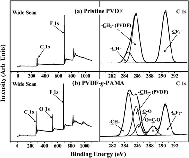 
            XPS wide-scan and C 1s core-level spectra of the (a) pristine PVDF membrane, and (b) PVDF-g-PAMA membrane with a ([–AMA–]/[–CH2CF2–])surface molar ratio of 0.31.