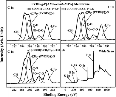 
            XPS wide-scan and C 1s core-level spectra of three PVDF-g-P[AMA-comb-MPA] microporous membranes with ([–COOH]/[–CH2CF2–])surface molar ratio of (a) 0.14, (b) 0.22 and (c,d) 0.30.