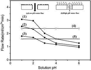 pH-dependent permeability of aqueous solution through the pristine PVDF and PVDF-g-P[AMA-comb-MPA] microporous membrane. Curves 1, 2 and 3 are obtained from three PVDF-g-P[AMA-comb-MPA] microporous membranes with surface graft concentrations ([–COOH]/[–CH2CF2–])surface of 0.30, 0.22, 0.14, respectively. Curves 4 and 5 are from fluxes through two commercial PVDF membranes (standard pore diameter: d = 0.65 and 0.45 μm, respectively).