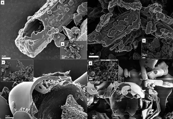 
          SEM images of (a) (PP)-PMDA-BAPF, (b) (PP)-BPDA-BAPF, (c) (PP)-6FDA-BAPF and (d) (PP)-ODPA-BAPF. Images in the corner show an overview.