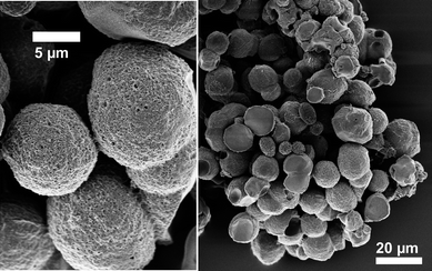 
          SEM images of (PP)-PMDA-BAPF templated with Pluronic® F127.
