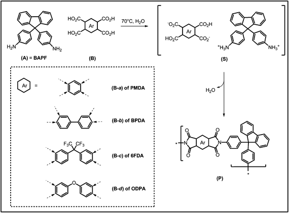 Postulated mechanism of hydrothermal polyimidization. (A) = aromatic bisamine, (B) = aromatic tetracarboxylic acid of the corresponding anhydrides PMDA, BPDA, 6FDA and ODPA, (S) = nylon-type AB-salt, (P) = polymer. (Dashed arrows indicate the position of the carboxylic acid functions.)