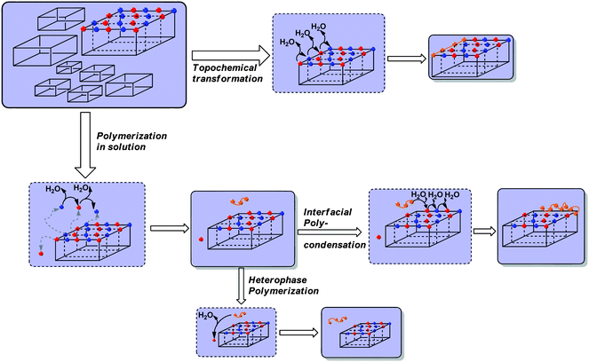 Possible transformations from monomer salt crystallites to PI. Red spheres = diacid-dicarboxylate ions, blue spheres = diammonium ions, orange = oligo-/polyimide chains.