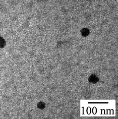 
          TEM photograph of the PAMPS-b-PG2 aggregates.