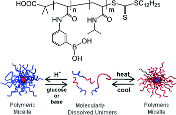 
          Self-assembly of PAPBA-b-PNIPAM in response to pH, sugar and temperature. (Adapted with permission from ref. 19. Copyright 2009 The Royal Society of Chemistry.)