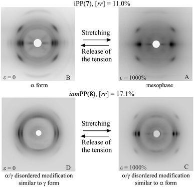 X-ray fiber diffraction patterns of fibers of the stereodefective samples iPP(7) with [rr] = 11% (A,B) and iamPP(8) with [rr] = 17% (C,D), obtained by stretching compression molded films at 1000% elongation, keeping the fiber under tension (A,C) and after removing the tension (B,D).16,17,19,29 (A,B: Reproduced with permission from ref. 16. Copyright 2004 by the American Chemical Society. C,D: Reproduced with permission from ref. 29. Copyright 2004 by the American Chemical Society).