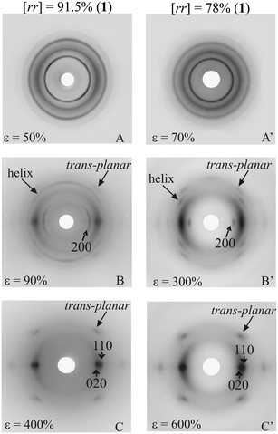 X-ray fiber diffraction patterns of fibers of sPP samples of different stereoregularity, with [rrrr] = 91.5% (A–C) and 78% (A′–C′), prepared with the catalyst 1 of Fig. 13, stretched at values of deformation ε. The 200 reflection of the helical form I and 020 and 110 reflections of the trans-planar form III are indicated.21,27