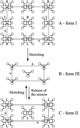 Crystal structures of the antichiral helical form I (A), the trans-planar form III (B) and the isochiral helical form II (C) of sPP. The trans-planar form III is obtained in oriented fibers by stretching unoriented samples in form I, and transforms into the helical form II by releasing the tension of the stretched fibers.