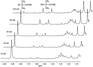 Extracts from 1H NMR spectra (CDCl3, 300 MHz) of the copper-mediated reaction between ethyl 2-bromo-2-methylpropionate and SG1 in DMSO, showing changing intensities of the peaks corresponding to methyl protons of ethyl 2-bromo-2-methylpropionate at 1.91 ppm and the SG1 adduct at 1.57 and 1.67 ppm.