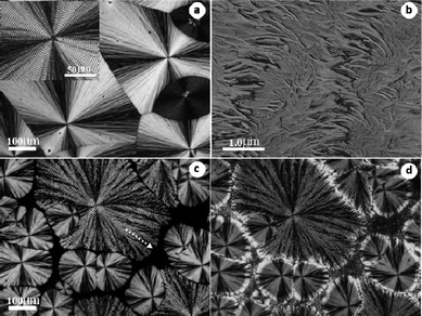 (a) Optical micrograph of neat PVDF crystallized at 164 °C. (b) Corresponding AFM phase image of banded α spherulites in (a). (c) 70/30 blend first crystallized completely at 160 °C and (d) then cooled quickly to 80 °C for 5 min. The insert in (a) is an enlarged part of the banded spherulite. The dotted arrow in (c) indicates that the spherulite gets more open with increasing distance from the center.