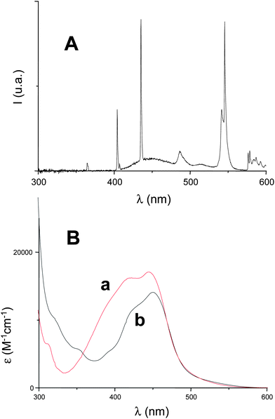 
            (A)
            Emission spectrum for the household light fluorescent bulb. (B)Absorption spectra for (a) Ru(phen)32+ and (b) Ru(bpy)32+ in acetonitrile.