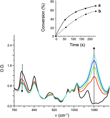 IR spectra recorded during the photopolymerization of EPOX in the presence of Ru(phen)32+/TTMSS/Ph2I+ (0.2%/3%/2% w/w) under fluorescence bulb irradiation for different irradiation times (t = 0 to t = 3 min). Insert: monomer conversion vs. time profile (under air) for (a) Ru(phen)32+/TTMSS/Ph2I+ (0.2%/3%/2% w/w) and (b) Ru(bpy)32+/TTMSS/Ph2I+ (0.2%/3%/2% w/w).