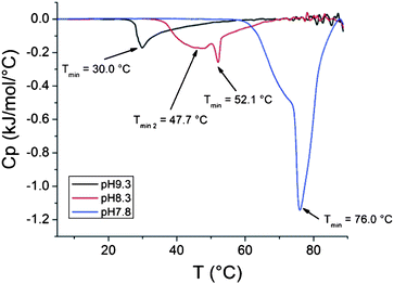 Cooling thermograms of PDMAEMA (282 000 g mol−1) solutions with pH 7.8, 8.3 and 9.3.