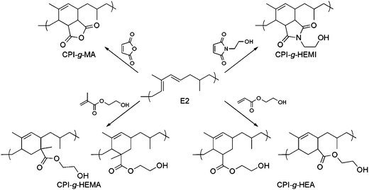 Proposed chemical structures of products from small molecules reacting with CPI. The conformation required for the Diels–Alder cycloaddition is shown for the E2 isomer of CPI. While CPI-g-HEMI and CPI-g-MA form one regioisomer, the Diels–Alder products with HEMA and HEA form two regioisomers. 1H-NMR spectra of products with peak assignments can be found in the ESI.