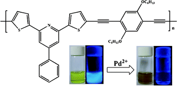 Visible emission of P-1 observed in the presence of Pd2+ without excitation and with UV-lamp excitation.
