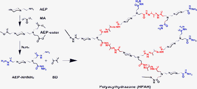 Synthesis route of HPAH.