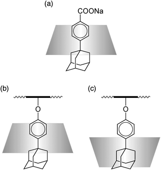 Conceptual illustration of the interaction of α-CD with sodium 4-(1-adamantyl)benzoate and Mal/AdPh.