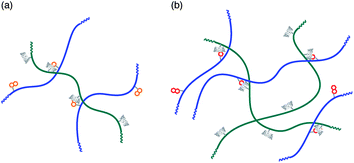 Conceptual illustration of interpolymer aggregates of a poly(acrylamide) carrying β-CD moieties and poly(acrylamide)s modified with naphthyl groups: 1-naphthylmethyl (a) and 2-naphthylmethyl (b).