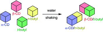 Conceptual illustration of the formation of gel assemblies.