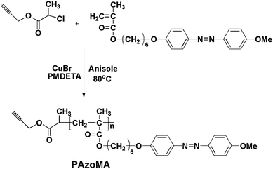 Synthesis of PAzoMA by ATRP.