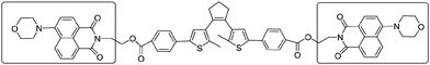 Bisthienylethene-bridged naphthalimide dimer.