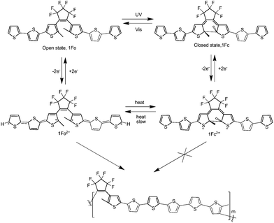 Photochemical switching between polymerizable (1Fo) and non-polymerizable (1Fc) states.