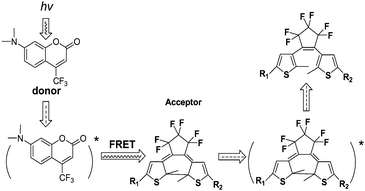 The fluorescence-resonance energy transfer (FRET) between excited molecular fluorophore to the photochromic diarylethene.