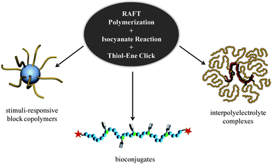 Conceptual examples demonstrating the utility of the synthetic pathway involving sequential isocyanate and thiol-ene reactions from a RAFT-synthesized polymeric scaffold.